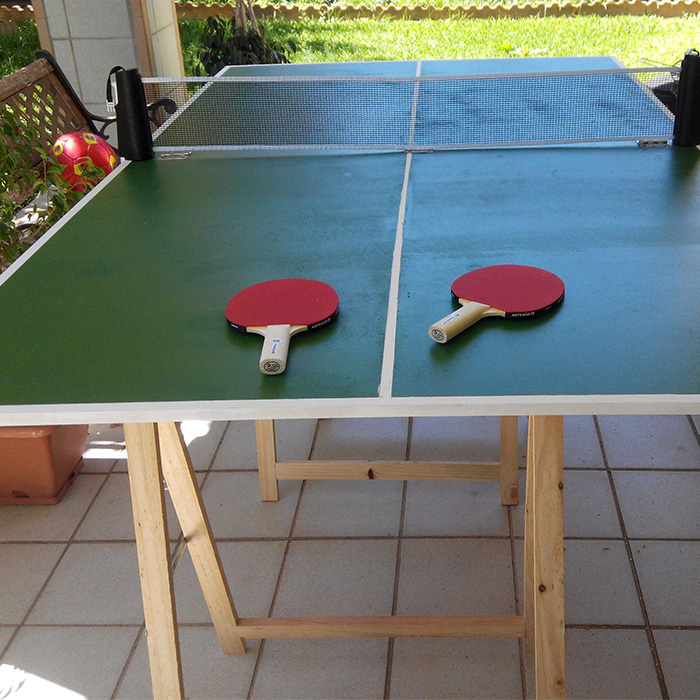 Portable Table Tennis Top