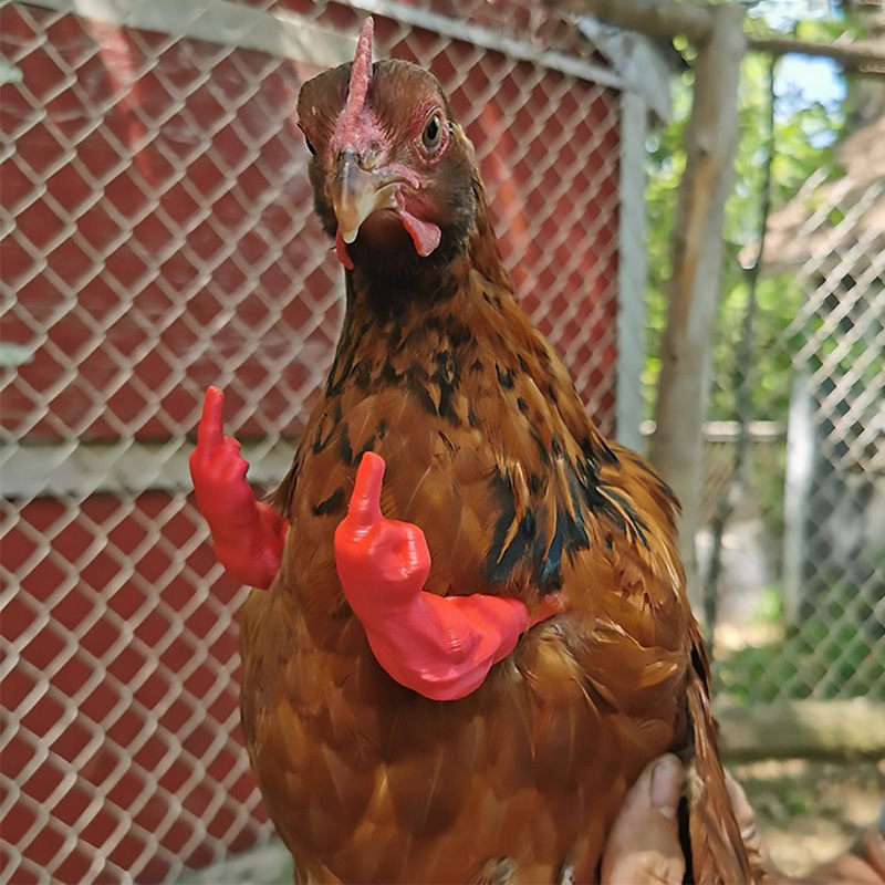 Middle Finger Muscle Arms for Chickens