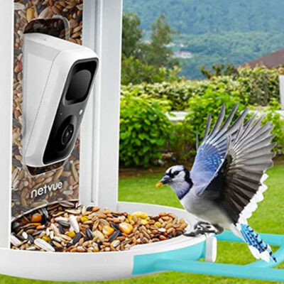 NETVUE Birdfy Lite Smart Bird Feeder with Camera