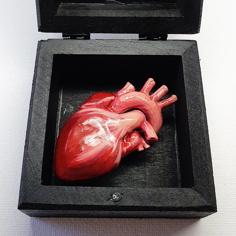 Realistic Human Heart in a Box