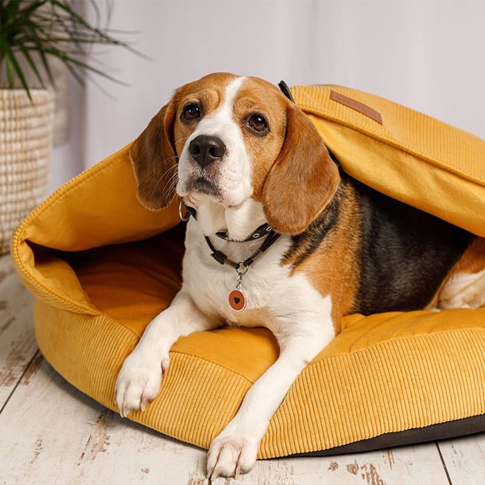 Cave Shaped Dog Bed