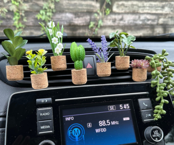 Plant Car Air Fresheners