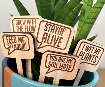 Funny Wood Plant Stakes